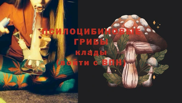 Альфа ПВП Абдулино