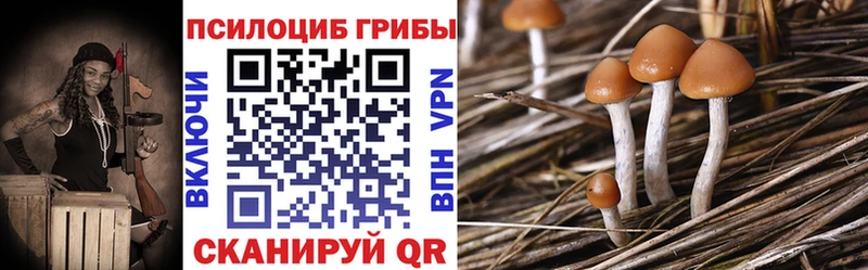 сайты даркнета какой сайт  Болгар  Галлюциногенные грибы MAGIC MUSHROOMS 