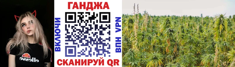 Марихуана сатива  Болгар 